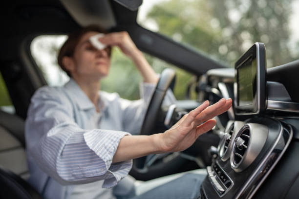 Best Air Conditioning Repair  in Alba, NY